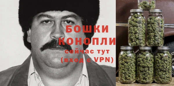 индика Навашино