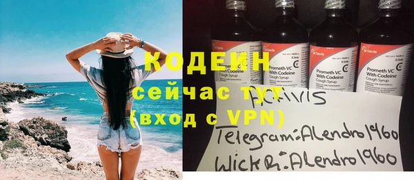 амф Апатиты