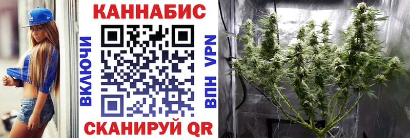 Бошки марихуана индика  Мураши 